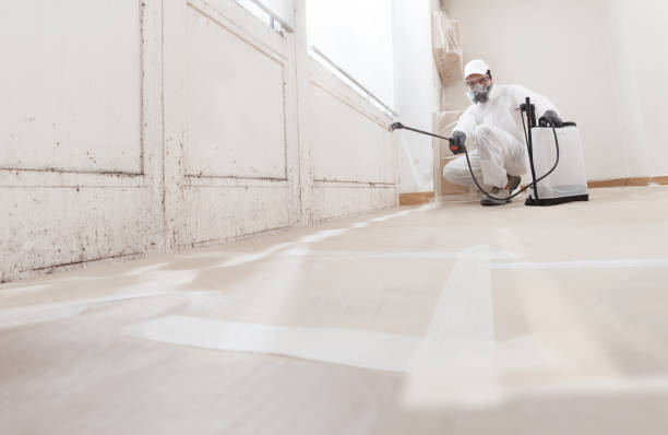 24/7 Emergency Mold Remediation experts in Burley, WA
